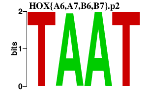 logo of HOX{A6,A7,B6,B7}.p2